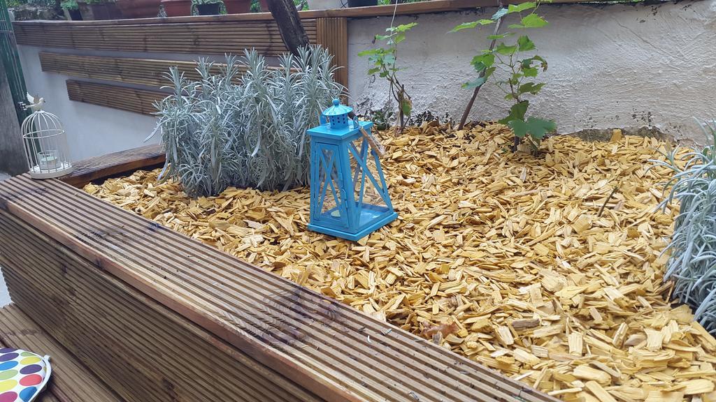 רייקה Apartments Belvedere מראה חיצוני תמונה
