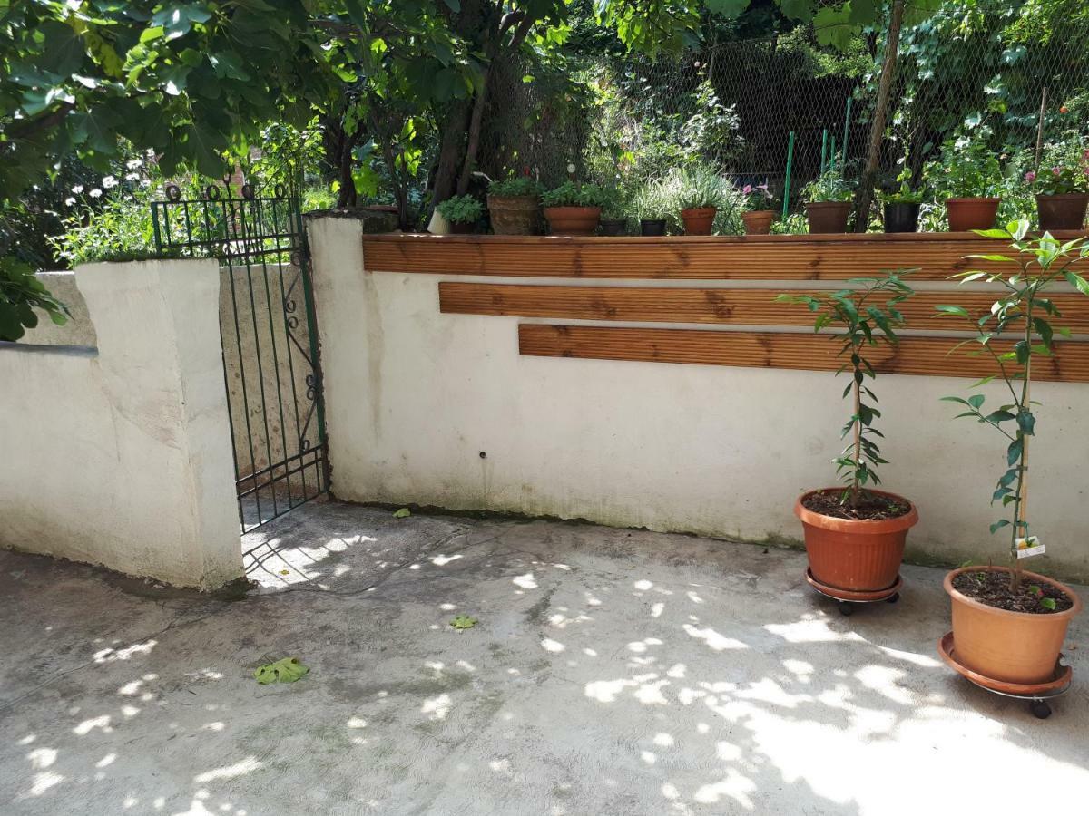 רייקה Apartments Belvedere מראה חיצוני תמונה