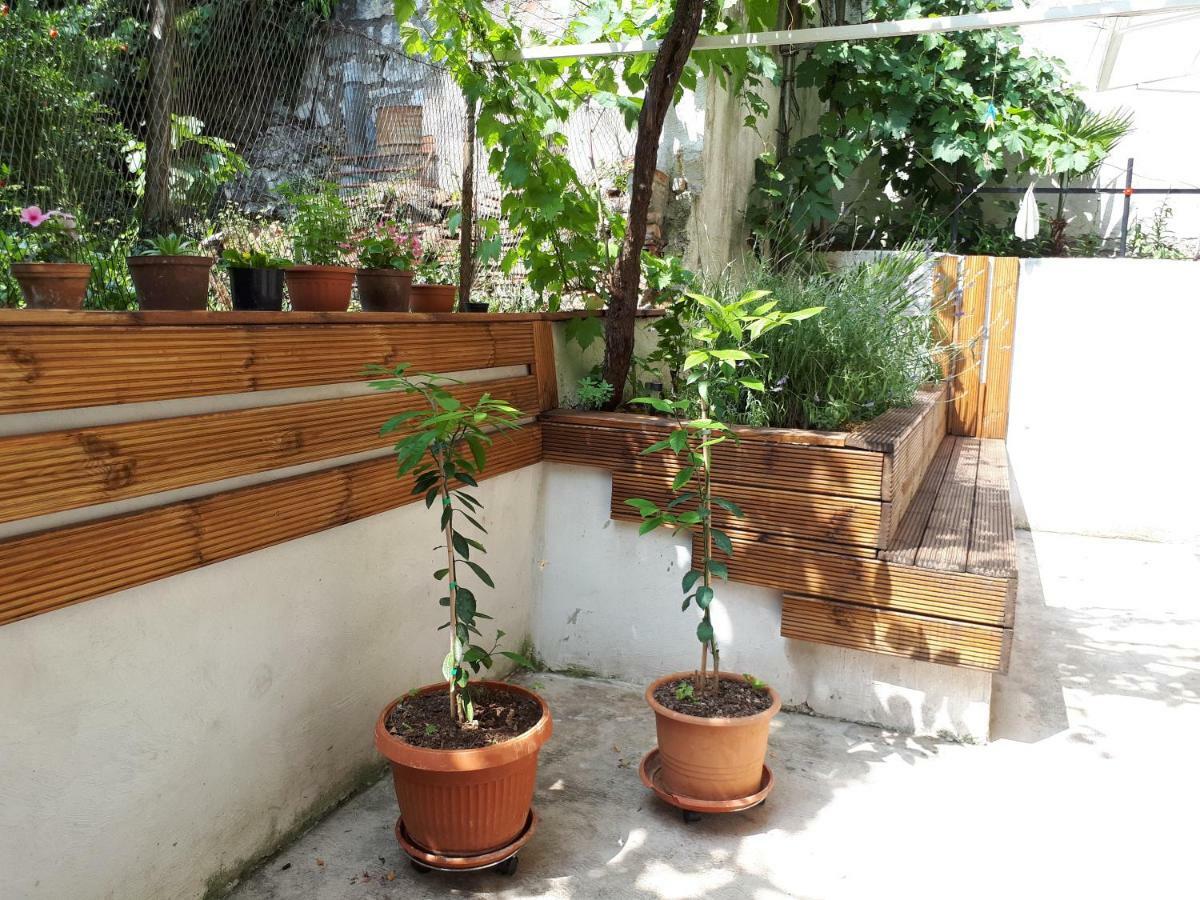 רייקה Apartments Belvedere מראה חיצוני תמונה